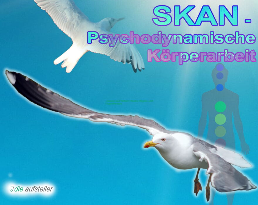 SKAN - Psychodynamische Körperarbeit als Unterstützung der Systemischen Aufstellung und des Coaching - 